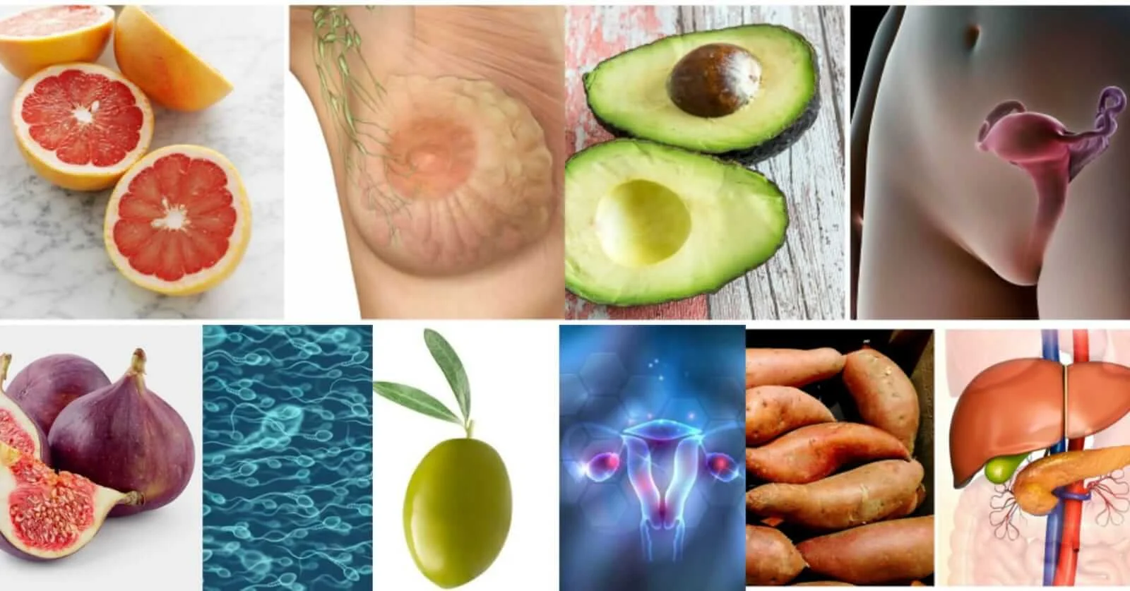 20 Foods that look like the Body Parts they’re good for 20-Foods-that-look-like-the-Body-Parts-theyre-good-for
