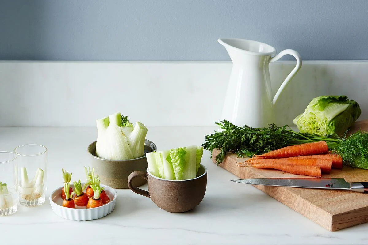 Foods you can Regrow from Scraps Foods you can Regrow from Scraps