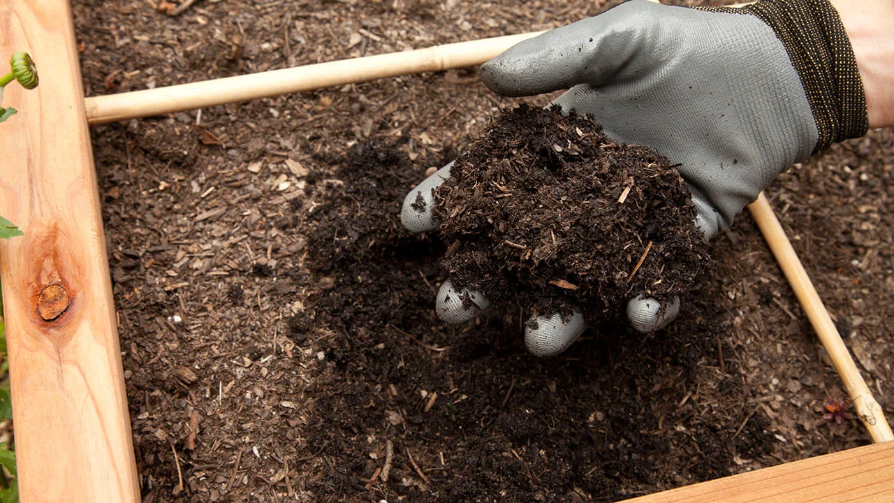 How to make compost at Home – Homemade Benefits of using Organic Fertilizers or Manure