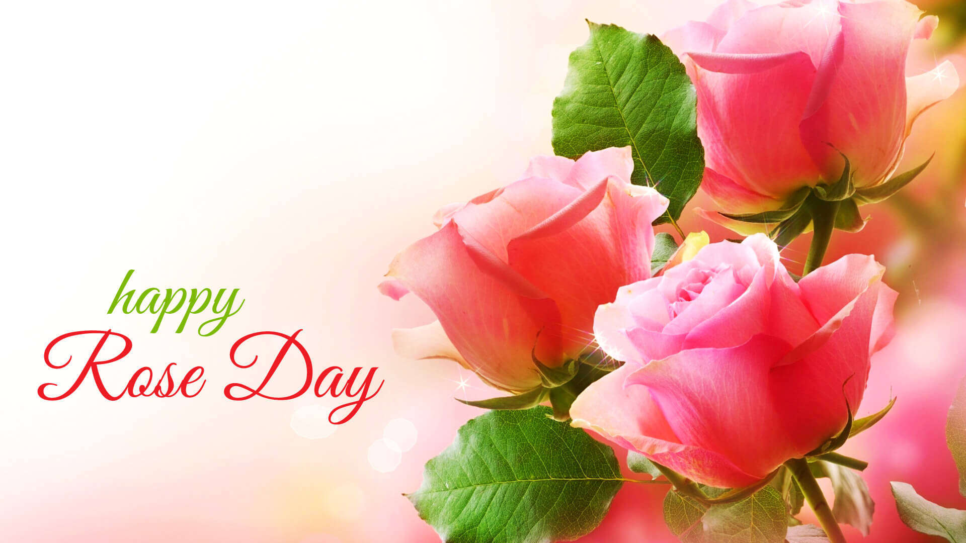 Rose Day - The First Step to Love Week – Messages and Quotes